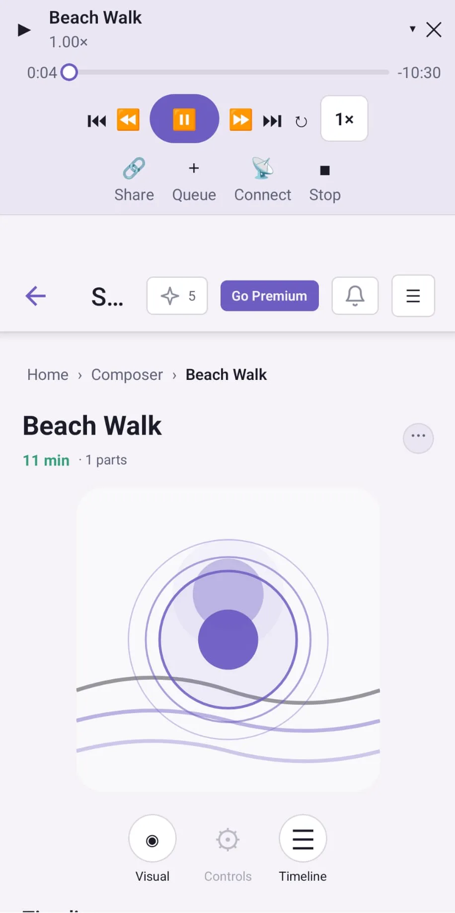The intropi player mid-session, showing the session timeline and playback controls